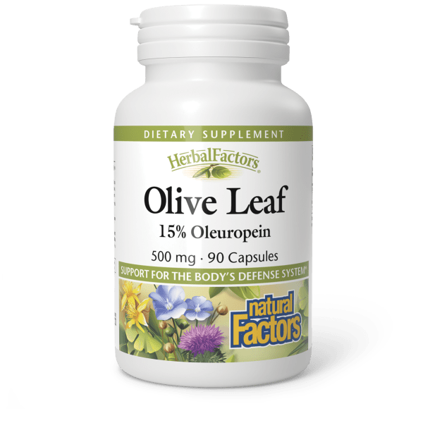 Olive Leaf Extract 500 mg 90 Capsules, image-hi-res