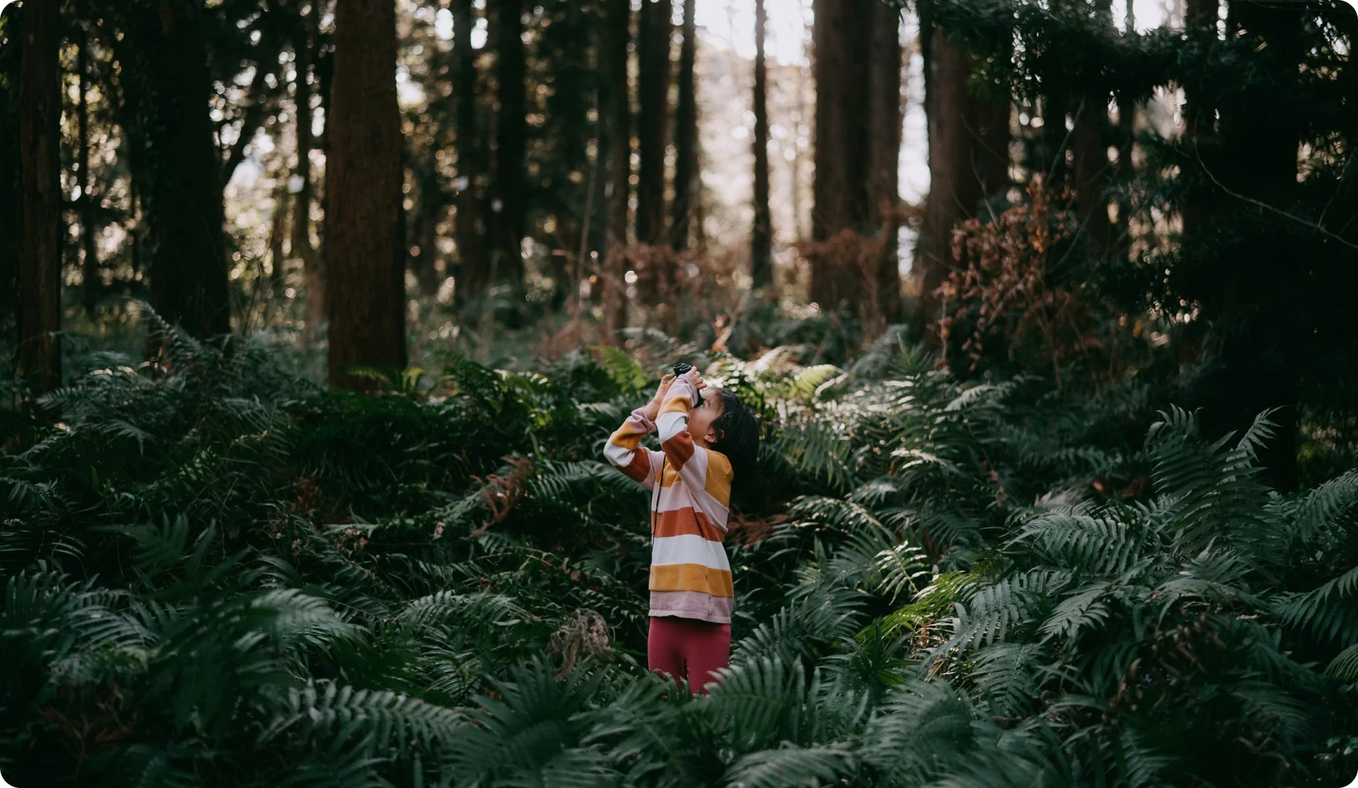 A young child in the forest