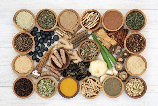 An in-depth look at Adaptogens - Natural Factors USA