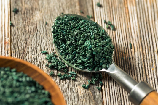 The Vegan Omega-3 Showdown: Flax vs. Chia vs. Algae - Natural Factors USA
