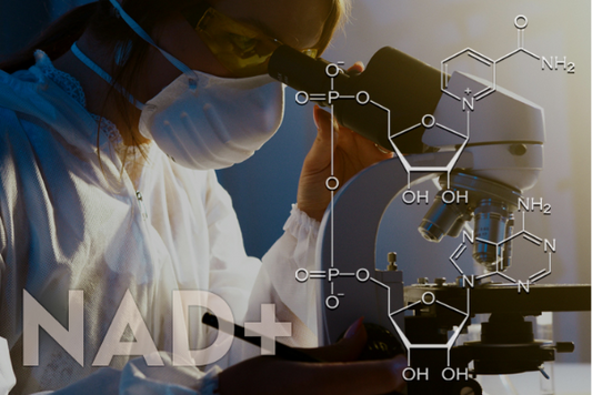 NMN vs NR vs NADH vs Niacin vs Nicotinamide
