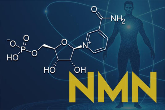 Why NMN Supplements Are a Key Part in the Longevity Toolkit