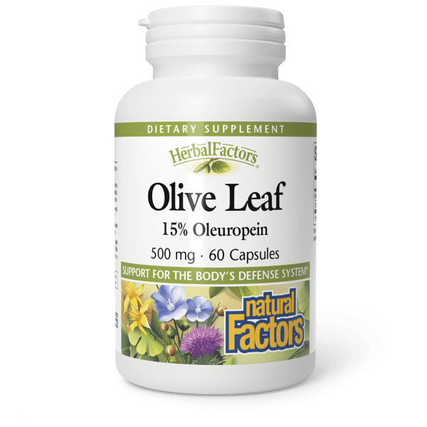Olive Leaf Extract  500 mg  60 Capsules, image-hi-res