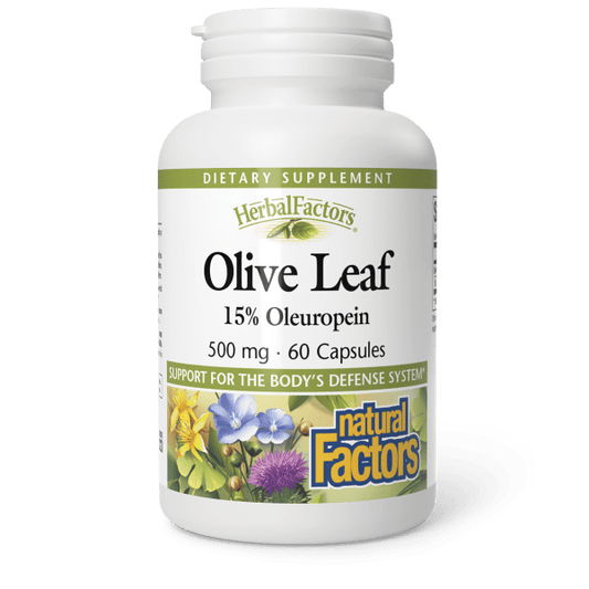 Olive Leaf Extract  500 mg  60 Capsules, image-hi-res
