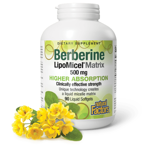 Berberine LipoMicel Matrix 500 mg, image-lifestyle