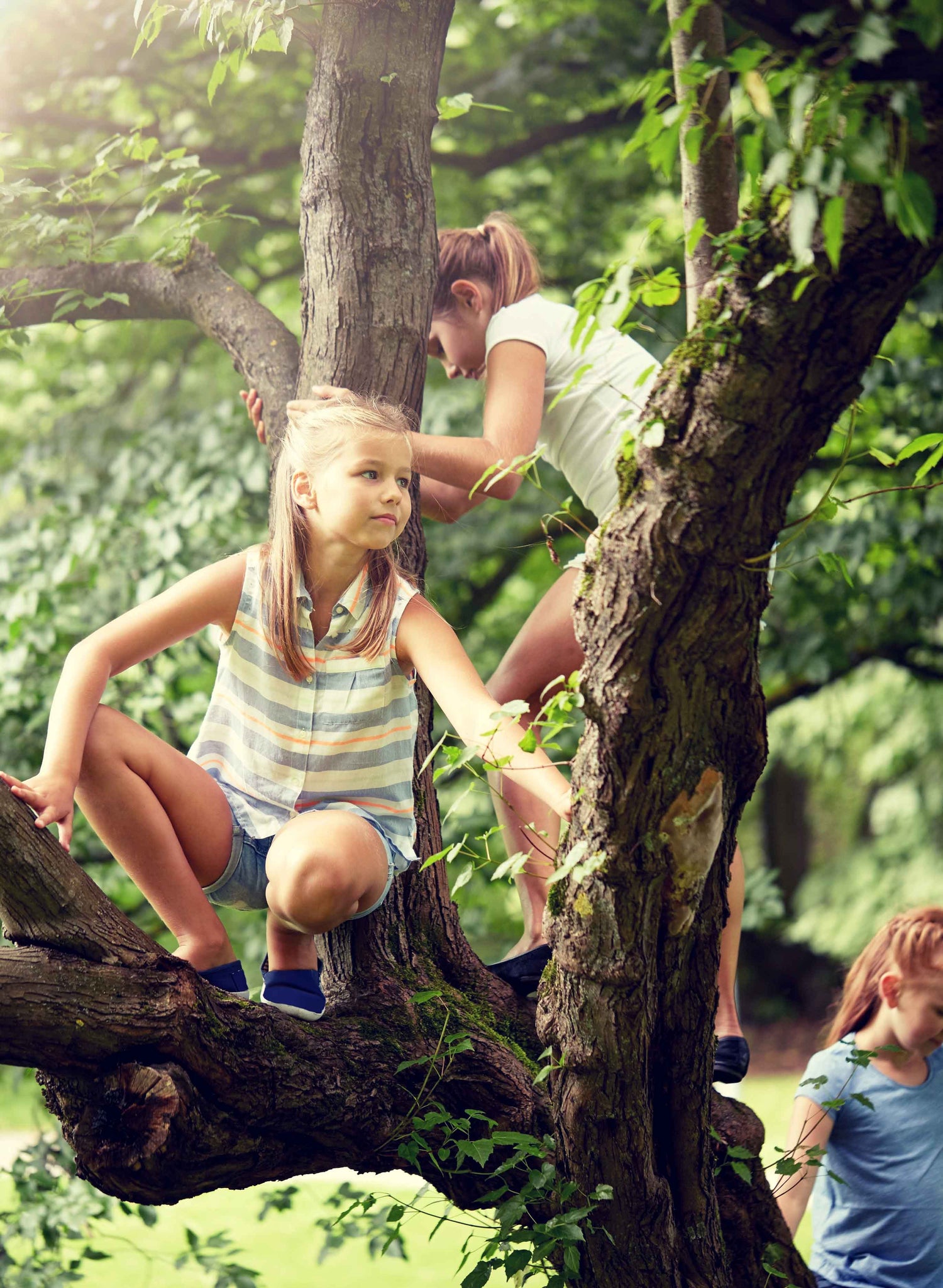 Three young girls climb and play in the trees 