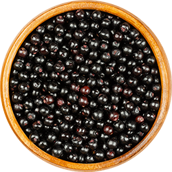 Bowl of Blackberries