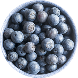 Bowl of Blueberries