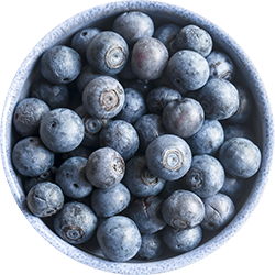 files/Bowl_Blueberries.png