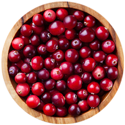 Bowl of cranberries