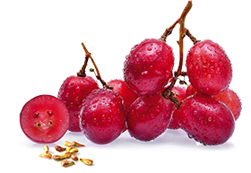 files/GrapeSeed_HealthBenefits_Mbl.png