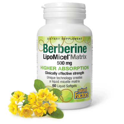 Berberine LipoMicel Matrix