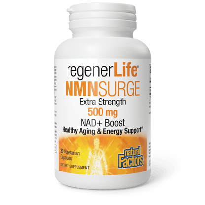 NMN Surge NAD+ Boost for Natural Factors |variant|hi-res|1926U