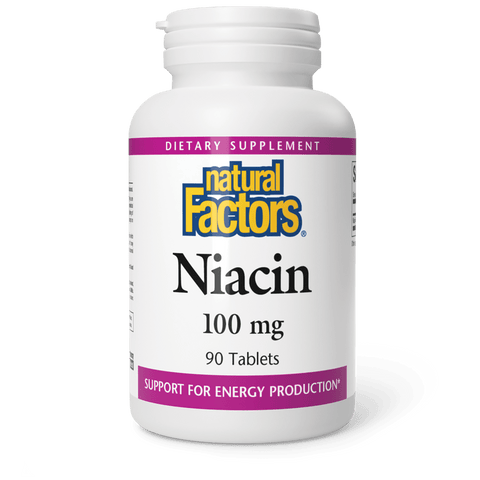 B3 Niacin for Natural Factors |variant|hi-res|1220U