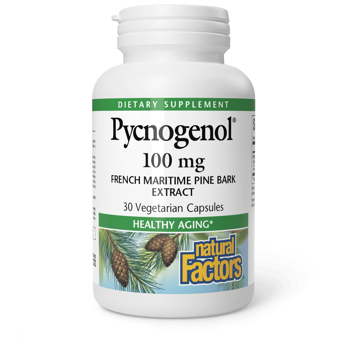 Pycnogenol® Pine Bark|variant|hi-res|2091U