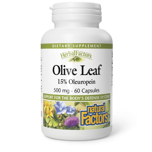 Olive Leaf Extract