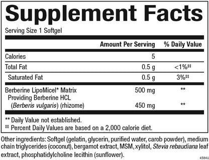 Berberine LipoMicel Matrix 500 mg for Natural Factors |variant|hi-res|4584U