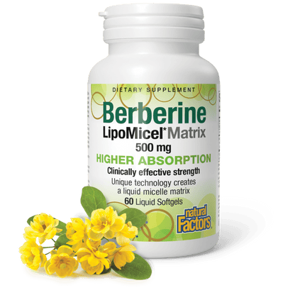 Berberine LipoMicel Matrix 500 mg for Natural Factors |variant|hi-res|4584U