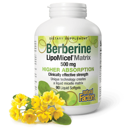 Berberine LipoMicel Matrix 500 mg for Natural Factors |variant|hi-res|4586U