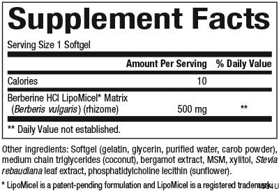 Berberine LipoMicel Matrix 500 mg for Natural Factors |variant|hi-res|4584U