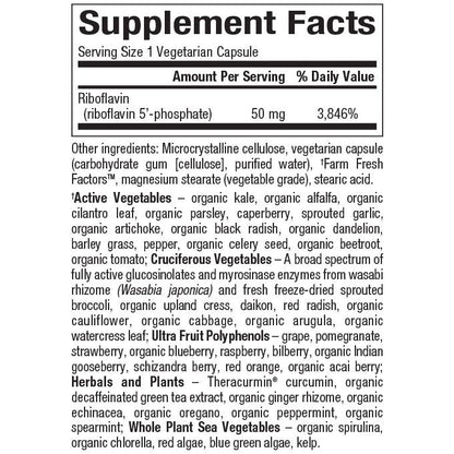 Riboflavin 5’-phosphate for Natural Factors |variant|hi-res|1249U