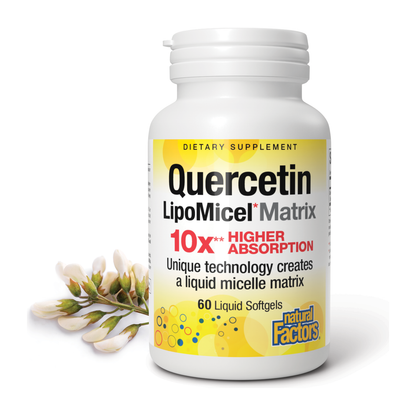 Quercetin LipoMicel Matrix for Natural Factors |variant|hi-res|1378U