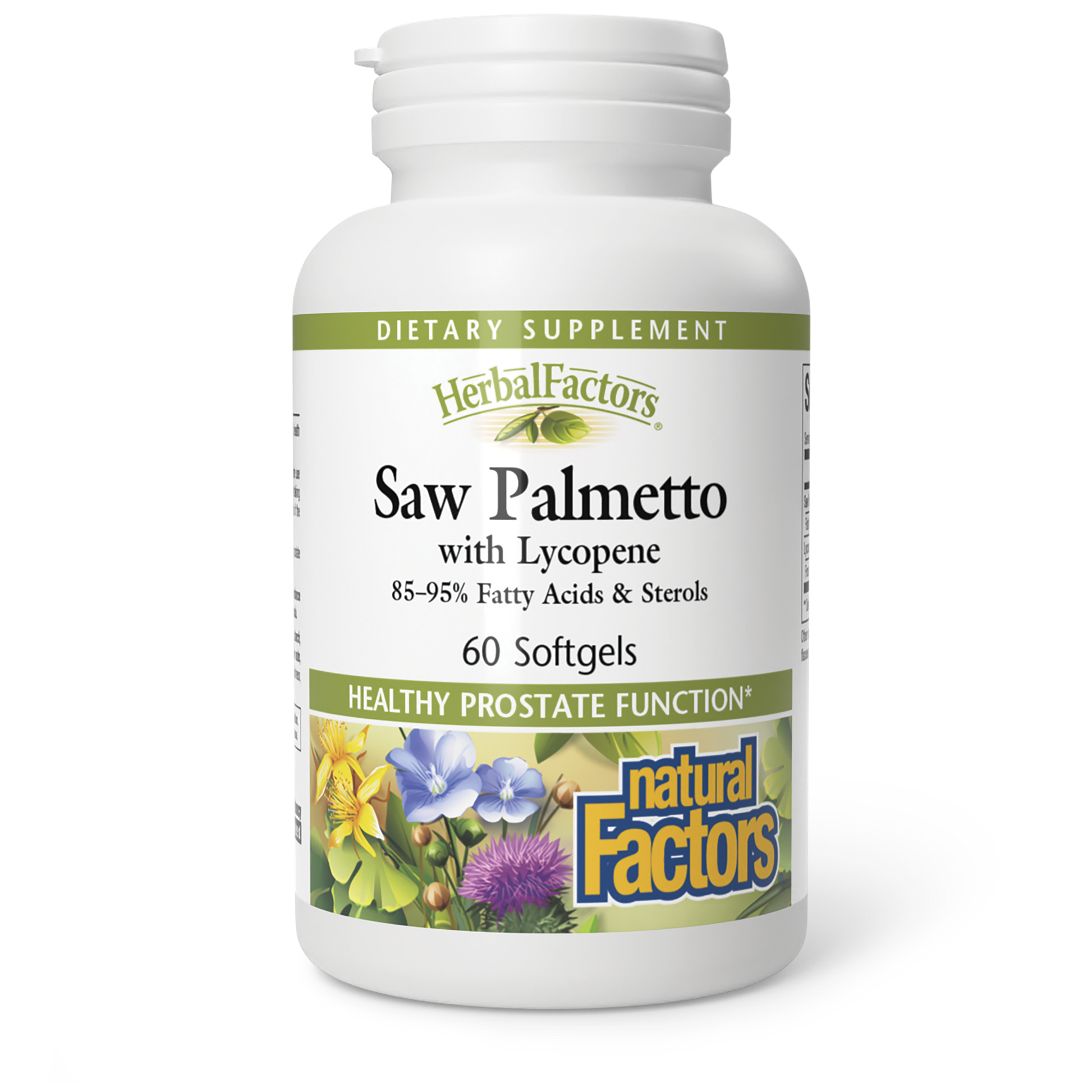 Saw Palmetto Extract|variant|hi-res|4551U