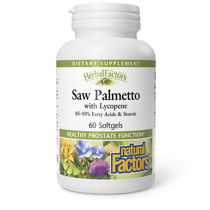 Saw Palmetto Extract|variant|hi-res|4551U