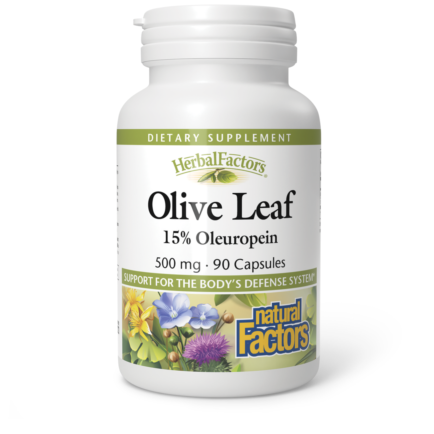 Olive Leaf Extract|variant|hi-res|4570U