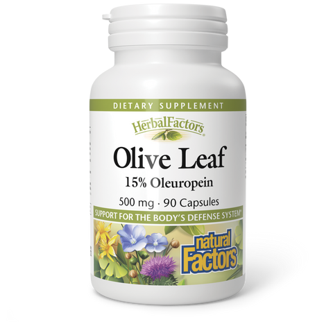 Olive Leaf Extract|variant|hi-res|4570U