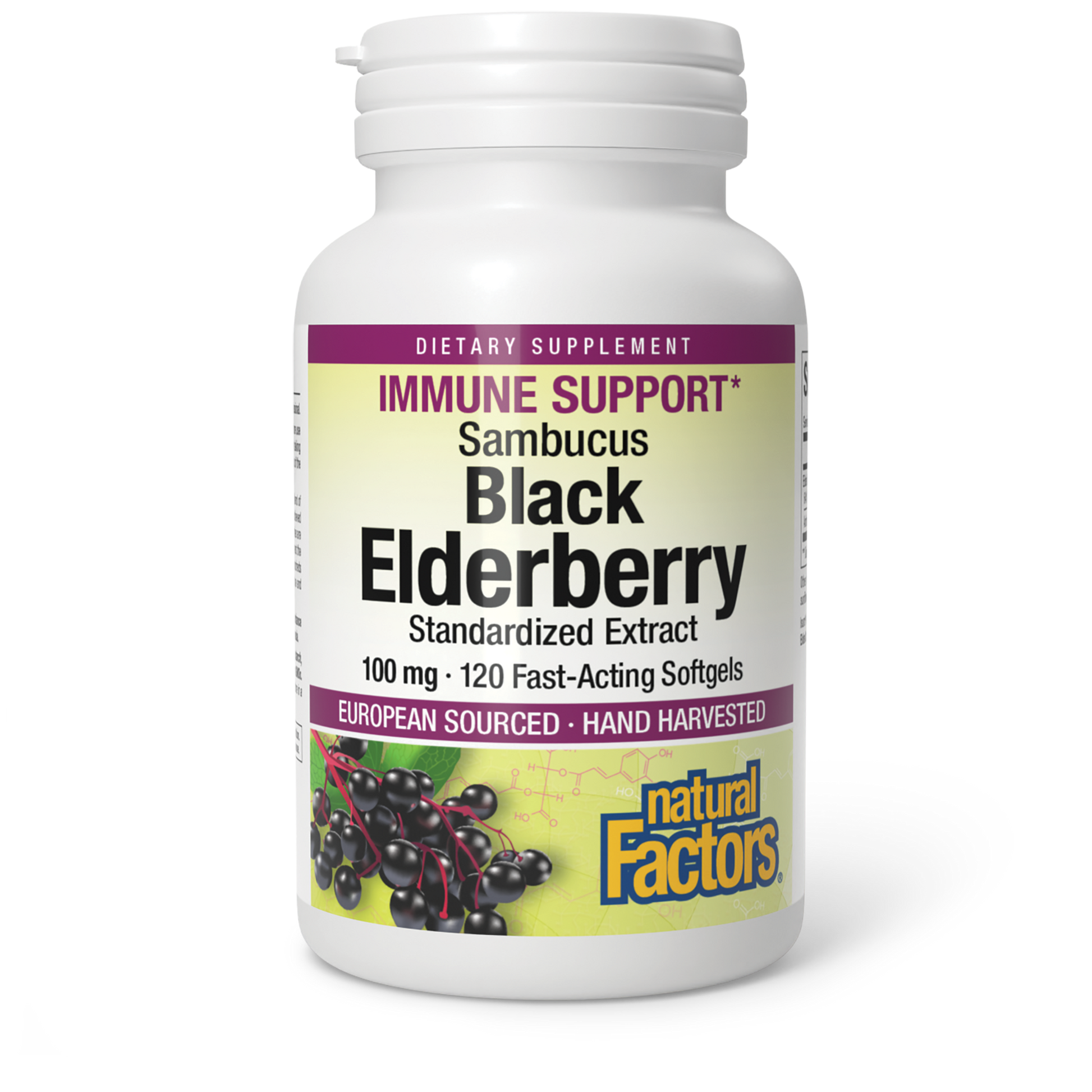 Sambucus Black Elderberry Standardized Extract|variant|hi-res|4707U