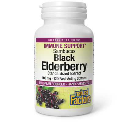 Sambucus Black Elderberry Standardized Extract|variant|hi-res|4707U