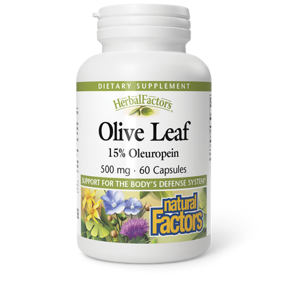 Olive Leaf Extract|variant|hi-res|4569U