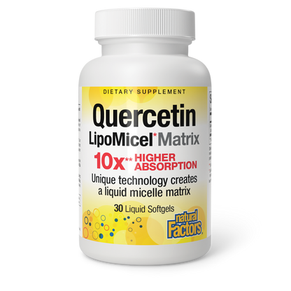 Quercetin LipoMicel Matrix|variant|hi-res|1379U