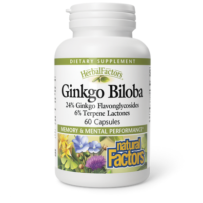 Ginkgo Biloba|variant|hi-res|4532U