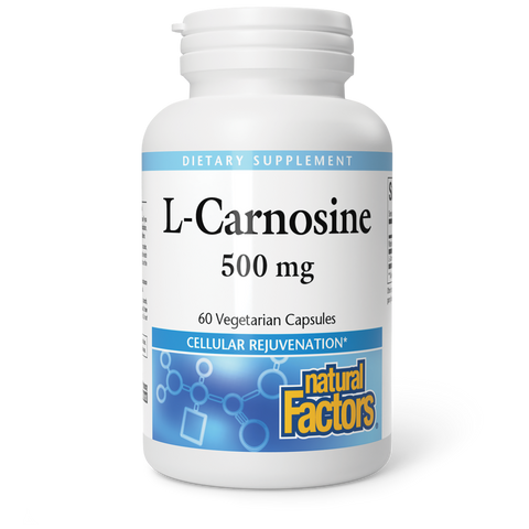 L-Carnosine|variant|hi-res|2805U